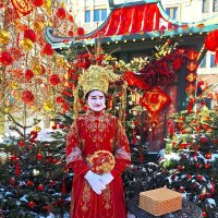 Китайский новый год :: Наталья 