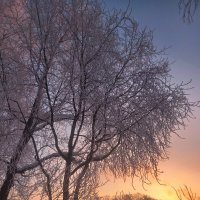 Рассвет :: Сапсан 