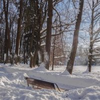 Ясный день. :: Николай 