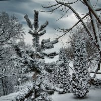 Зимний пейзаж ... :: Ravile 