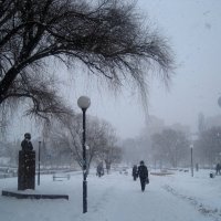 В СНЕГОПАД :: Елена Семигина В СНЕГОПАД :: Елена Семигина