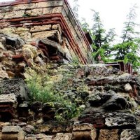 Травой поросло… :: Натали 