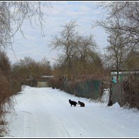 Забыли. забрать... :: Aleksandr Gal