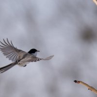 4 :: Сергей Флетчер