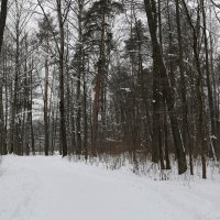 Тихая тишина... :: Танзиля Завьялова