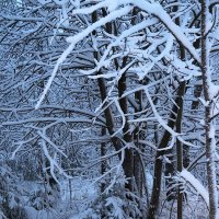 Утро после снегопада 2 :: Мария К.