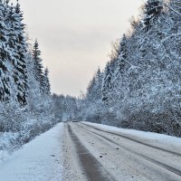Дорожное фото :: Мария К.