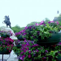 СПБ...Сенатская площадь... :: vadim 