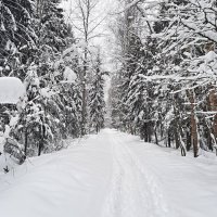 После снегопада. :: веселов михаил После снегопада. :: веселов михаил