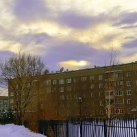 Всё под присмотром ! :: Мила Бовкун