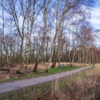 Время отдыха... :: Николай Гирш Время отдыха... :: Николай Гирш