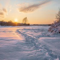 Зимняя тропинка :: Ирина 