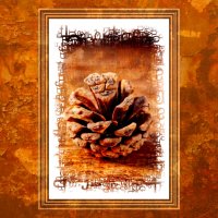 (°-°) :: Jakob Dick