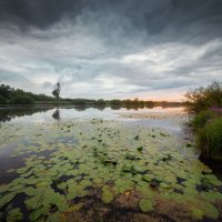 Колыванские озёра :: Антон Лихач