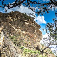 Неандерталец наблюдающий за тропой шаманов :: Владимир Кириченко