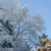 В городском парке :: Галина Нестратова