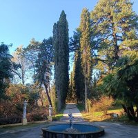 Кипарисовая аллея в Сочинском дендрарии. :: Serega SchütZ