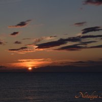 Природа Крыма :: Amazing Cosmea