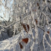 Наряды от кутюр :: Ольга 