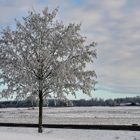 Не скучно одному? :: Alexandеr P