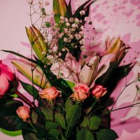 Цветы :: Илья Шенгелия Цветы :: Илья Шенгелия