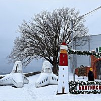 Фотозона. :: Валерия Комова