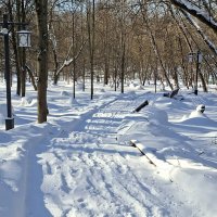 Зимние дороги :: ИРЭН@ . Зимние дороги :: ИРЭН@ .