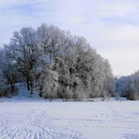 Озеро Лесное, Калининград :: Рита Симонова