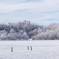 Озеро Лесное, Калининград :: Рита Симонова