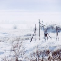 От души :: Sergei Vikulov