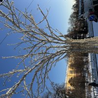 Мелочи :: Натали 