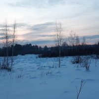 На рассвете дня :: Галина Минчук