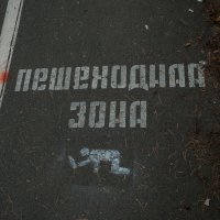 Дорогу осилит ползущий :: Дмитрий Костоусов