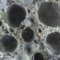 ячеистый бетон :: Конрад Карлович Михельсон