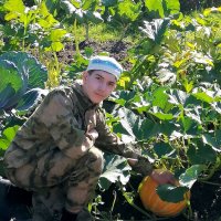 Рома собирает урожай :: Наталья ***