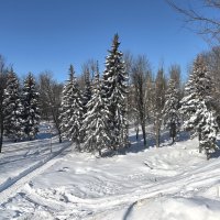 в Сквере на на набережной :: Olga Oskolkova