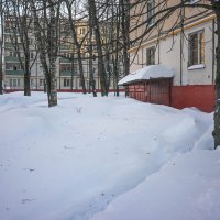 тропинка в подвал :: Артемий Канителькин тропинка в подвал :: Артемий Канителькин