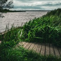 Ветер в камышах :: fogmeadowww m