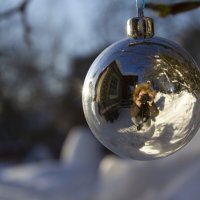 Дом :: Вадим Бакка