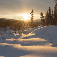 В лучах солнца золотого :: Сергей Герасимов