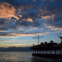 Природа Крыма :: Amazing Cosmea