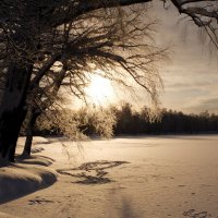 Екатерининский парк :: tipchik 