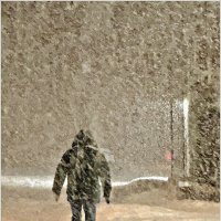 Прогулка с Яшей в снегопад. :: Валерия Комова