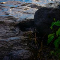 Рябь на воде :: fogmeadowww m