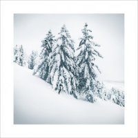 * :: Александр Иванов