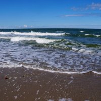 ~~~ ~~~ ~~~ :: Алёна Савина