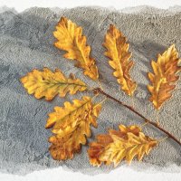 (°-°) :: Jakob Dick