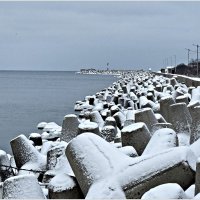Волноломы у набережной Балтийска. :: Валерия Комова