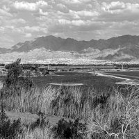 Птица :: Eugene * Птица :: Eugene *