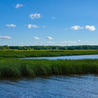 Вид на реку Ламу :: fogmeadowww m